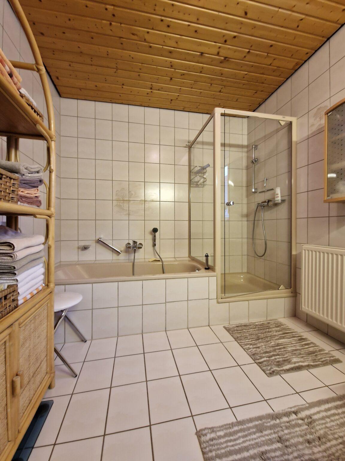 Vorher Dusche und Badewanne